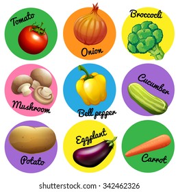 Fresh vegetable in round tags illustration