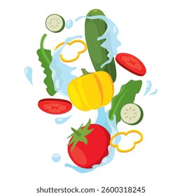 Fresh vegetable splash with tomato and cucumber slices Vector