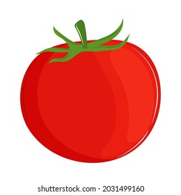 fresh vegetable tomato icon isolated