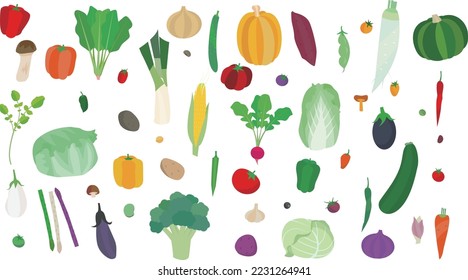 fresh Vegetable vector background illustration