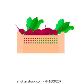 Fresh vegetable vector illustration. 