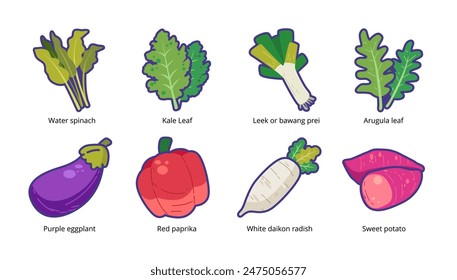 Juego de Ilustración vectorial de verduras frescas. colección de verduras icono. Espinaca de agua de kangkong, hoja de col rizada, puerro bawang prei, hoja de rúcula, berenjena terong, pimentón rojo, rábano daikon blanco, pota dulce