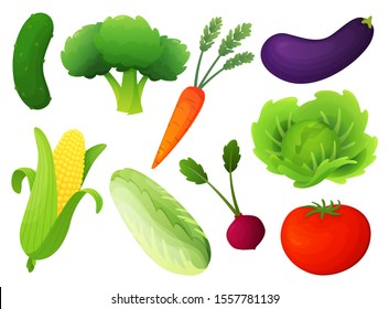 Fresh vegetable vector set. Healthy diet flat style illustration. Isolated green food, can be used in restaurant menu, cooking books and organic farm label. Concept for web banners, infographic