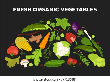 Fresh vegetables advertisement with organic healthy vegetarian products and greenery from farm full of vitamins