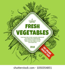 Fresh vegetables banner concept. Hand drawn vegetables set. Template for your design works. Engraved style vector illustration.