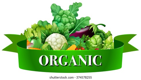 Fresh vegetables with banner illustration