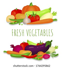 Fresh vegetables banner, poster. Ripe tomato, carrots, green peas, zucchini, turnip, radish, potatoes, mushroom, garlic, bell pepper, pumpkin, beets, cucumber, chili, radish, onions, eggplant vector.