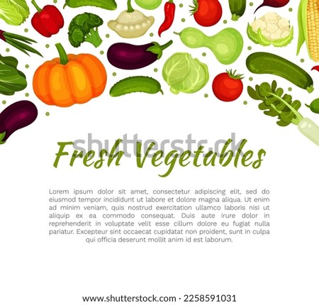 Fresh vegetables banner template with space for text. Farm organic vegetables, fresh healthy food card, poster cartoon vector