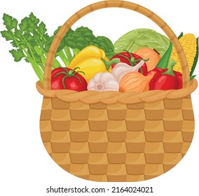 Fresh vegetables. Vegetables in the basket. Vegetables from the garden, such as tomatoes, peppers, corn and onions, garlic and cabbage broccoli with celery. Vector illustration isolated