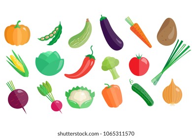 Fresh vegetables big set, healthy vegetarian organic food vector Illustrations on a white background