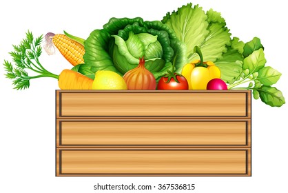 Fresh vegetables in a box illustration