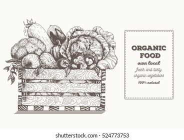 Fresh vegetables in box. Natural food for farmers market. Hand drawn vector illustration.