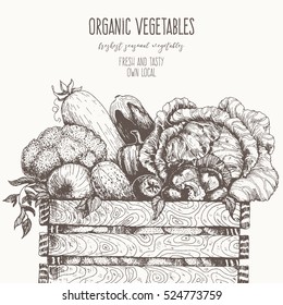 Fresh vegetables in box. Natural food for farmers market. Hand drawn vector illustration.