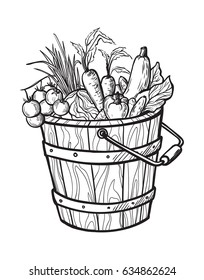 Fresh vegetables in box. Natural food for farmers market. Hand drawn vector illustration.