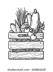 Fresh vegetables in box. Natural food for farmers market. Hand drawn vector illustration.