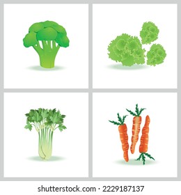 fresh vegetables broccoli salad carrots celery  vector illustration set