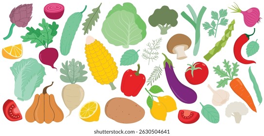 Fresh vegetables cartoon organic design elements set  isolated on white background.