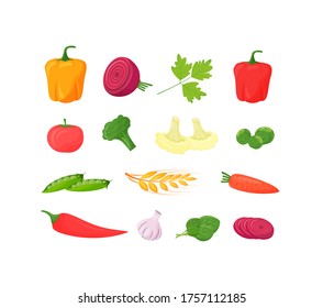 Fresh vegetables cartoon vector illustrations set. Pepper, tomato and broccoli healthy food. Cauliflower and beets organic produce flat color objects. Raw carrot food isolated on white background