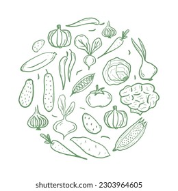 Fresh vegetables circle shape pattern for coloring book. Doodle healthy food mandala coloring page. Hand drawn print with corn, pumpkin, tomato, broccoli, etc. Vector illustration