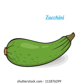 Fresh vegetables. Colorful cartoon. Easily editable vector. Zucchini on the white background. Isolated vector.