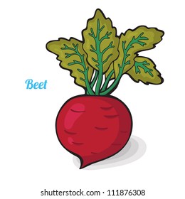 Fresh vegetables. Colorful cartoon. Easily editable vector. Beet on the white background. Isolated vector.