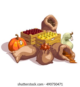 Fresh vegetables at farmers market design with tomatoes and sweet peppers pumpkin and onion vector illustration 