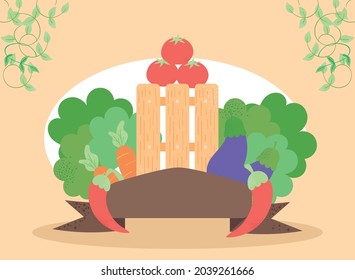 fresh vegetables in fence frame