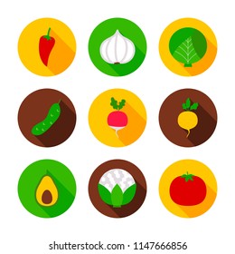 Fresh vegetables flat circle icons. Vector illustration of healthy food objects.