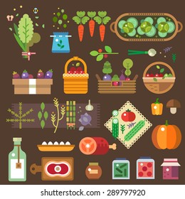 Fresh vegetables from the garden. Cook wholesome food for vegetarians. Vector flat illustration