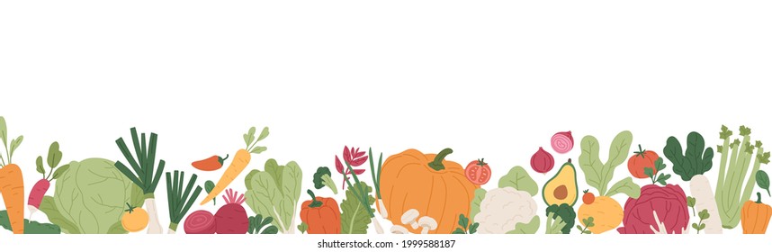 Fresh vegetables and greens border. Banner with healthy organic farm food. Natural veggies of summer and autumn seasons. Colored flat vector illustration of fall harvest isolated on white background