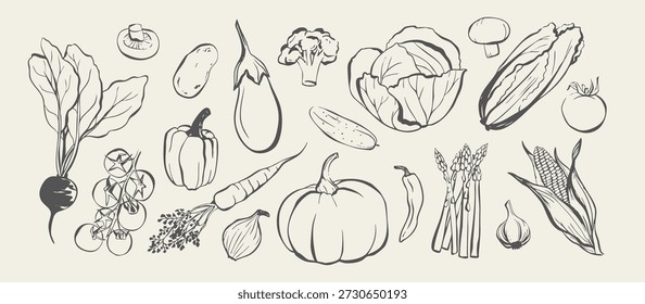 Fresh vegetables hand drawn collection, botanical line art garden veggies set, organic food sketches for menu and kitchen design
