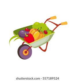 Fresh Vegetables Harvest In Wheel Barrel, Farm And Farming Related Illustration In Bright Cartoon Style