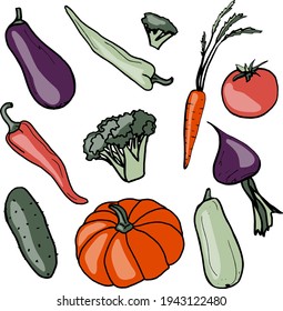 Fresh vegetables. Healthy food. Growing vegetables. Live vitamins. Summer. Eggplant. Pepper. Broccoli. Carrot. Cucumber. Pumpkin. Zucchini. Tomato. Beet.