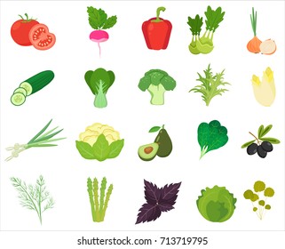 Fresh Vegetables and Herbs color flat icons.