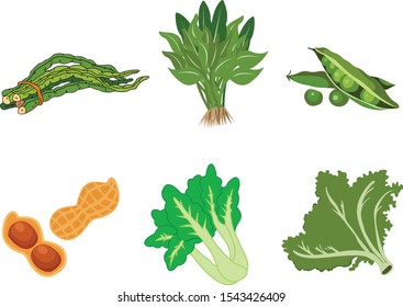  fresh vegetables icon set – vector flat design 