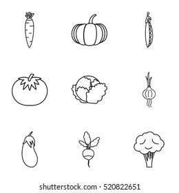 Fresh vegetables icons set. Outline illustration of 9 fresh vegetables vector icons for web