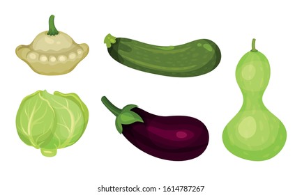 Fresh Vegetables Isolated on White Background Vector Set