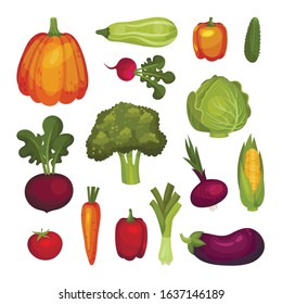 Fresh Vegetables Isolated on White Background Vector Set