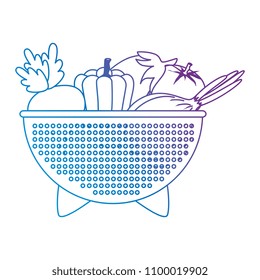 fresh vegetables in kitchen colander