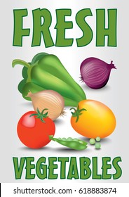 Fresh vegetables leaflet template with tomato, onion, pea pods and pepper, vector EPS 10