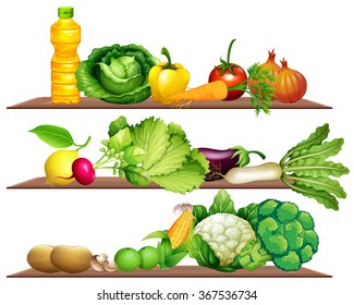 Fresh vegetables and oil on the shelf illustration