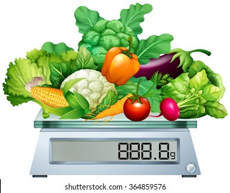 Fresh vegetables on the scales illustration