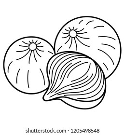 Fresh Vegetables. Onions. Vector flat outline icon illustration isolated on white background.