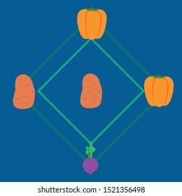 Fresh vegetables. Peppers, beets, potatoes. Organic food poster. Farmers market design. Vector