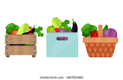 Fresh Vegetables Rested in Basket and Wooden Crate Vector Set