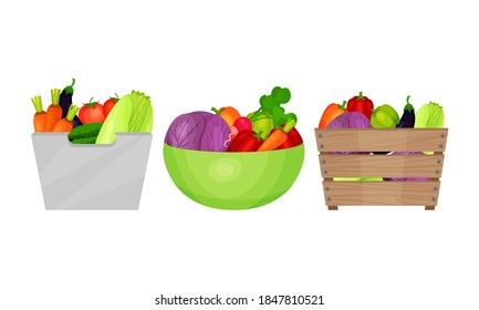 Fresh Vegetables Rested in Bowl and Wooden Crate Vector Set