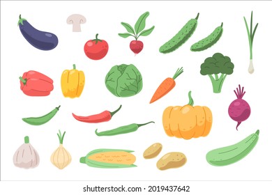 Fresh vegetables set. Collection of farm products symbols for the menu. Vector illustration isolated