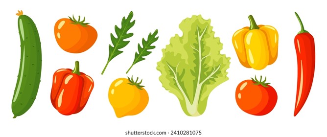 verduras frescas. pepino, tomates, pimientos, arúgula, lechuga, pimientos calientes. recogida de hortalizas sanas