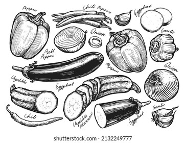 Fresh vegetables set sketch. Farm food hand drawn vintage vector illustration