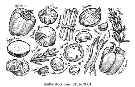 Fresh vegetables set sketch. Farm organic food hand drawn vintage vector illustration